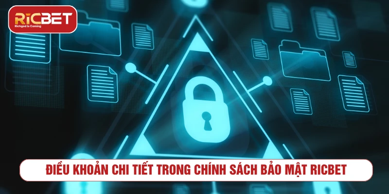 Các nhóm dữ liệu có thể được đề cập trong chính sách bảo mật RICBET