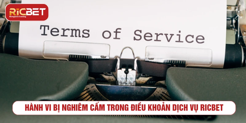 Điều Khoản Dịch Vụ RICBET - Quy Định Sử Dụng Nền Tảng Những hành vi bị hạn chế trong điều khoản dịch vụ RICBET