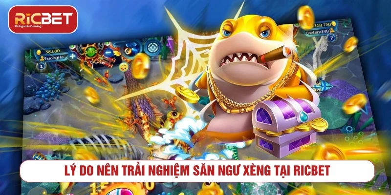 Bắn Cá Xèng RICBET - Cách Chơi Và Mẹo Quản Lý Xu Những điểm cần biết khi chơi bắn cá xèng