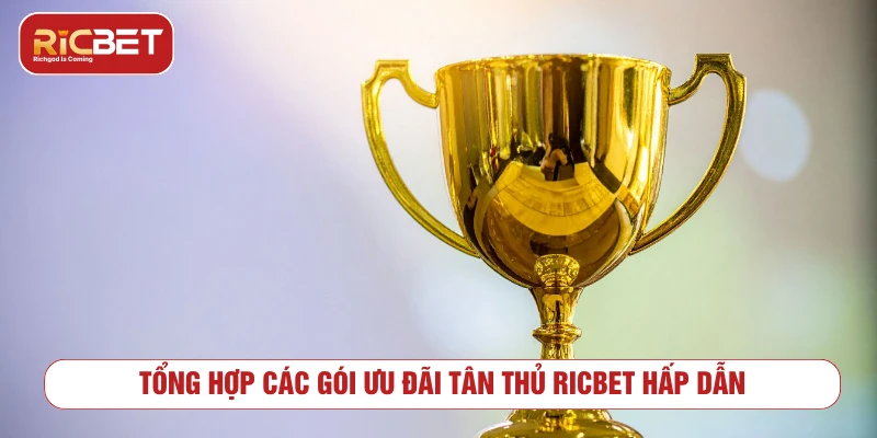 Ưu Đãi Tân Thủ RICBET - Điều Kiện Nhận Và Lưu Ý Các dạng ưu đãi tân thủ RICBET thường gặp
