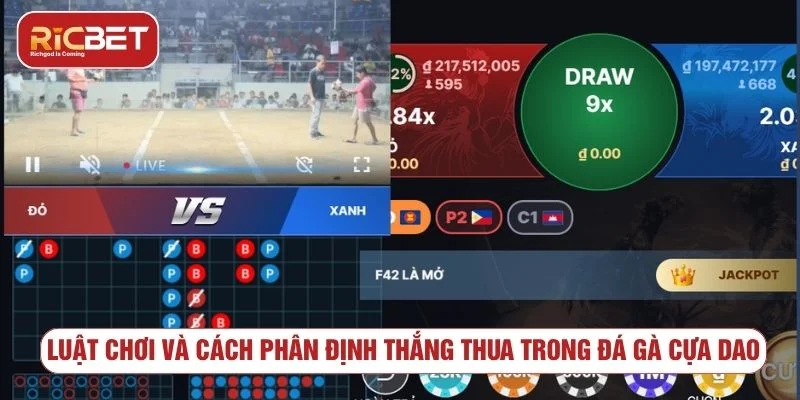 Đá Gà Cựa Dao RICBET - Cách Xem Kèo Và Lưu Ý Cần Biết Luật chơi và cách phân định kết quả đá gà cựa dao
